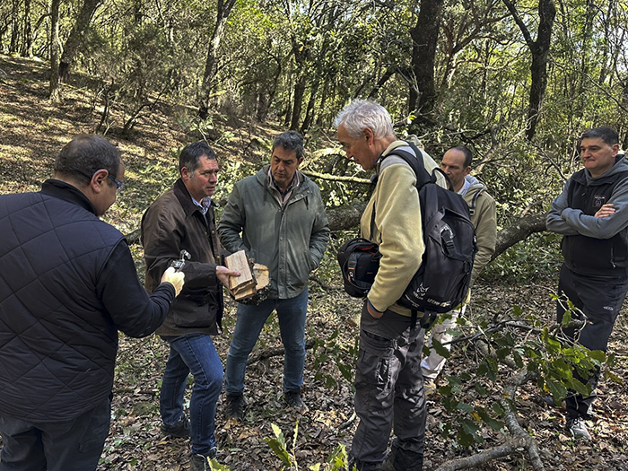 Jornadas de Valorización del Quejigo (Quercus canariensis): El Futuro del Monte y la Industria Forestal